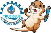 True Blue Plumbing Services-01